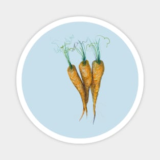 Carrots Magnet